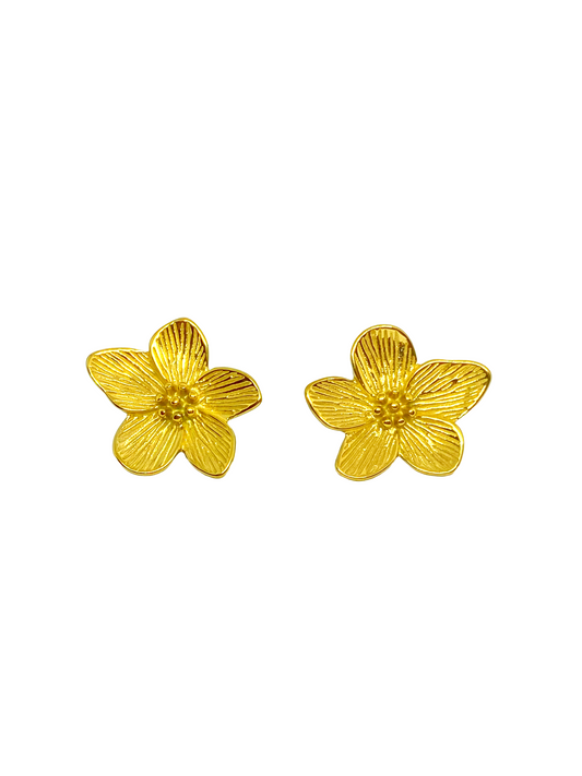 Boucles d'oreilles ELIF gold