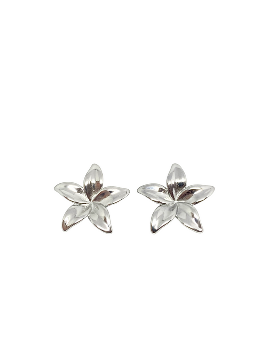 Boucles d'oreilles KARLYNE sylver