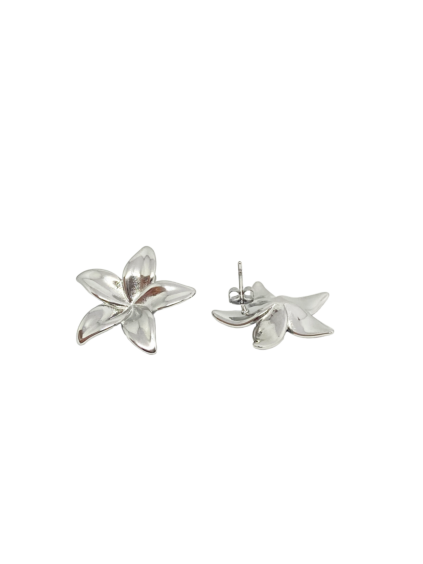 Boucles d'oreilles KARLYNE sylver